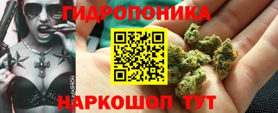 гашик Кунгур