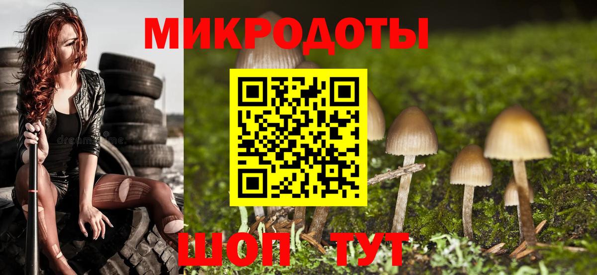 Ирбит  Псилоцибиновые грибы Psilocybe  Вход с VPN  Псилоцибиновые грибы мухоморы 